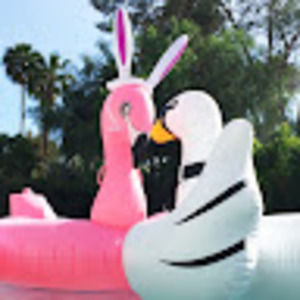 Meet your Posher, Ozzy